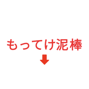 素材 ポイントポインター203もってけ泥棒↓
