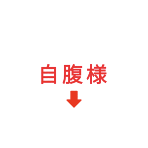 素材 ポイントポインター207自腹様↓