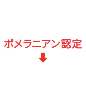 素材 ポイントポインター403ポメラニアン認定↓