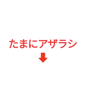 素材 ポイントポインター405たまにアザラシ↓