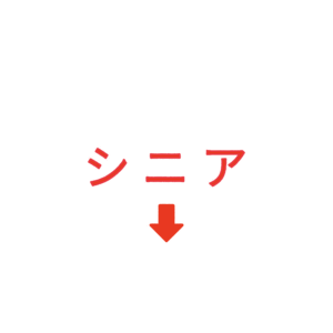 素材 ポイントポインター84シニア↓